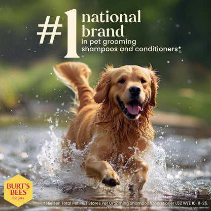 Honey Multipurpose Dog Grooming Wipes, Gentle Hypoallergenic Spot Cleaning Sheets, Ph Balanced Natural Origin Formula for Paws, Face and Butt, 50 Count