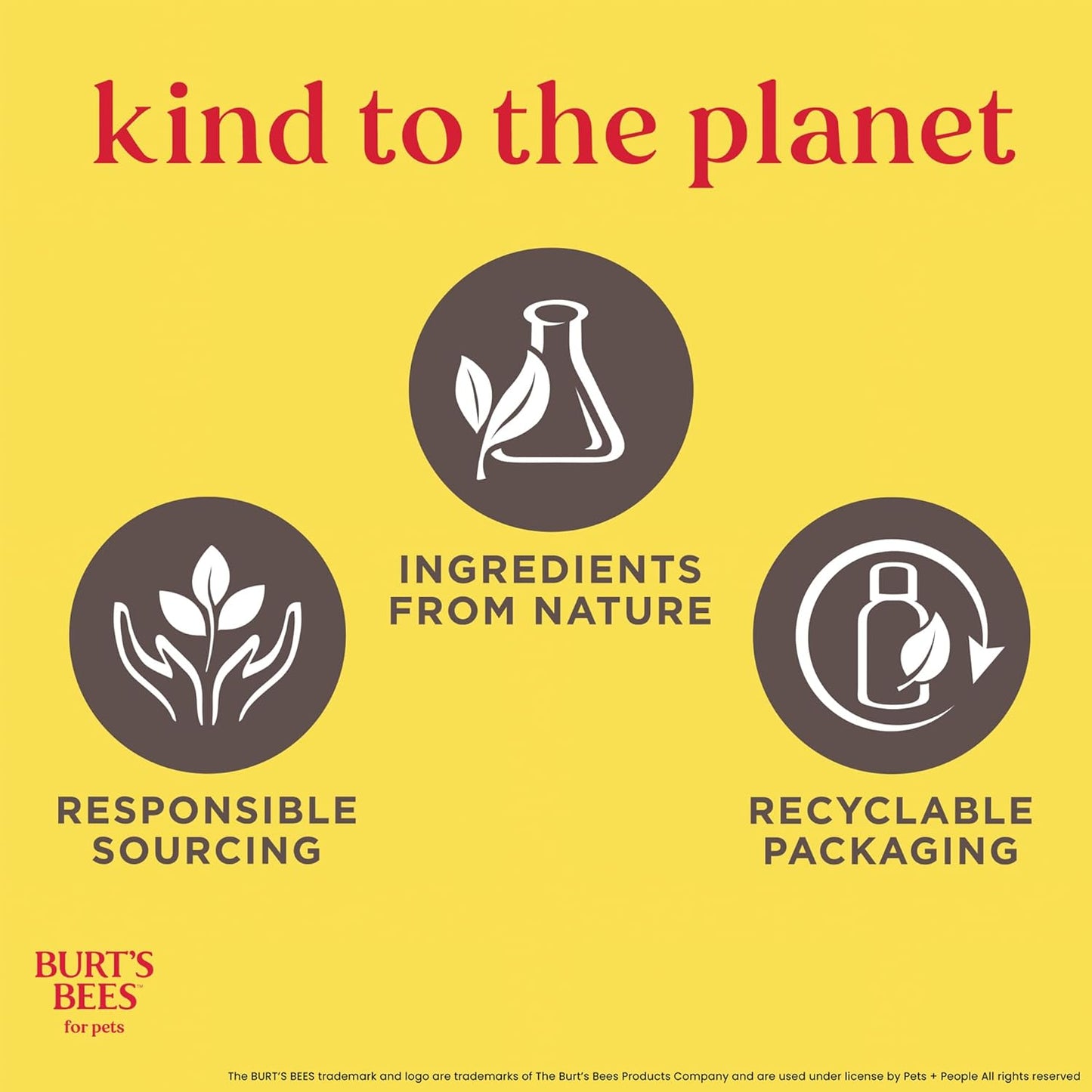 Tearless Kitten Shampoo with Buttermilk, 99.3% Natural Origin Formulas, Pet Shampoo for Cats, Gentle Cat Shampoo, Cat Shampoo for Itchy Skin, 10 Oz