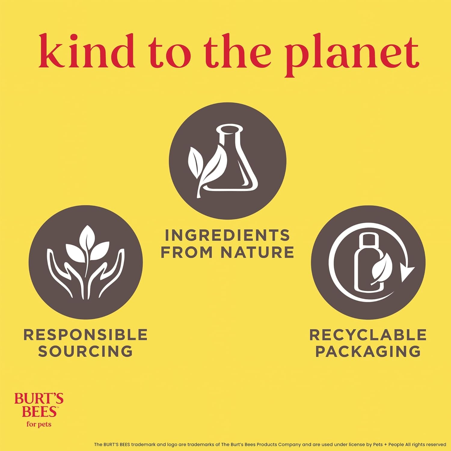 Tearless Kitten Shampoo with Buttermilk, 99.3% Natural Origin Formulas, Pet Shampoo for Cats, Gentle Cat Shampoo, Cat Shampoo for Itchy Skin, 10 Oz