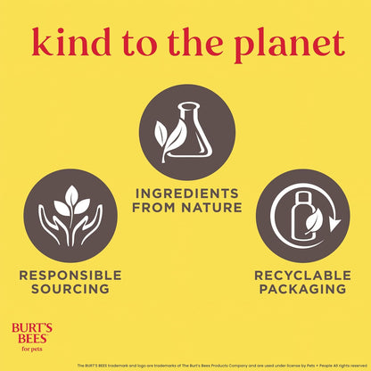 Tearless Kitten Shampoo with Buttermilk, 99.3% Natural Origin Formulas, Pet Shampoo for Cats, Gentle Cat Shampoo, Cat Shampoo for Itchy Skin, 10 Oz