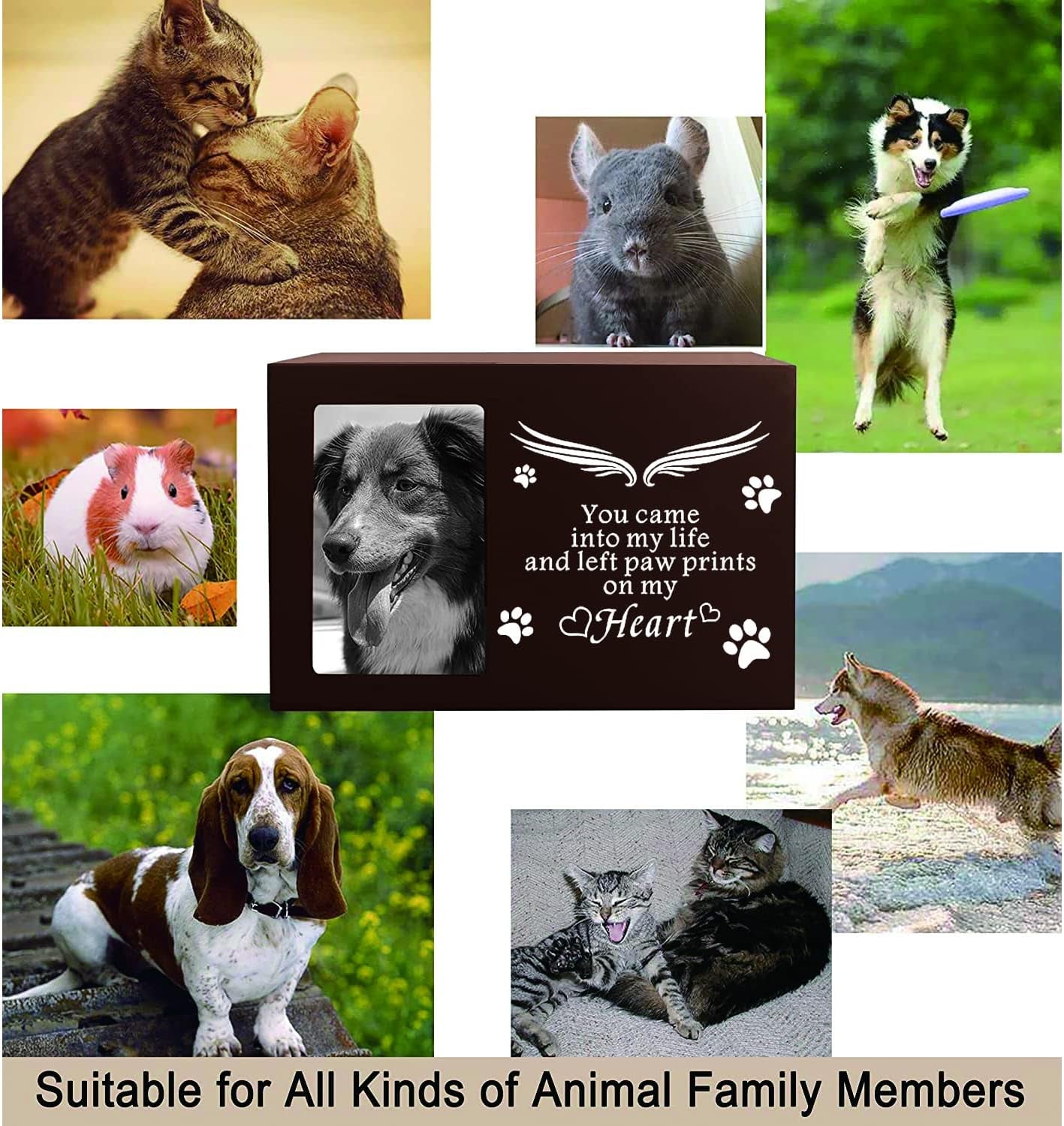 Pet Memorial Keepsake - Cat or Dog Urn with Photo Frame, Wooden Bamboo Urn for Memorial Gifts