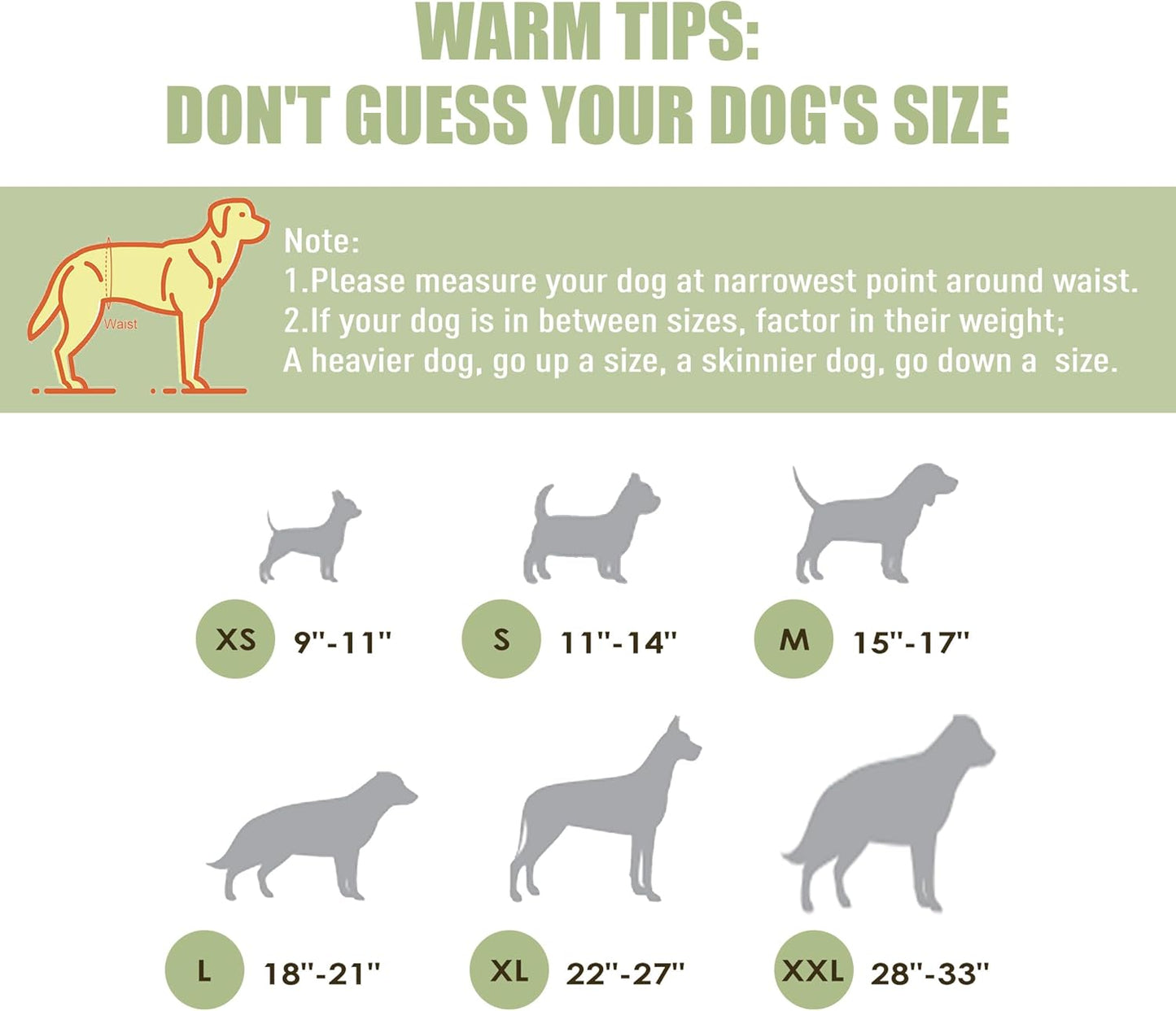 Washable Male Dog Diapers (Pack of 3) - Washable Male Dog Belly Wrap (Small - 11"- 14" Waist)