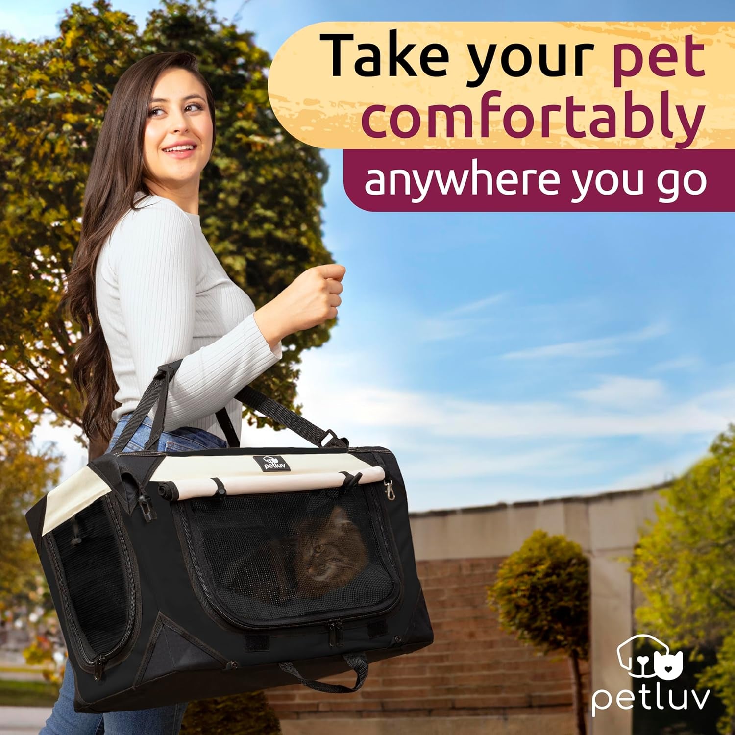 Cat & Dog Pet Carrier, Soft-Sided, Medium 20"X13"X13" Fits Most Cats or Small Dog, Comfortable for Travel & Vet Visits, Privacy Windows, Removable Plush Bed, Locking Zippers, Folds Flat
