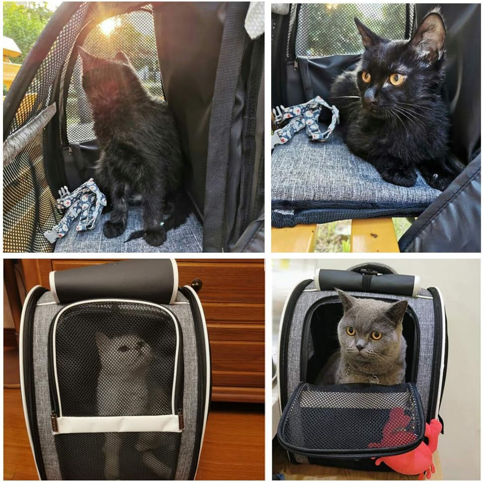 Pet Carrier Backpack with Window Blind for Small Cats Dogs, Ventilated Design, Safety Straps, Buckle Support, Collapsible, Designed for Travel, Hiking, Winter Outing, Outdoor, Go to Vet