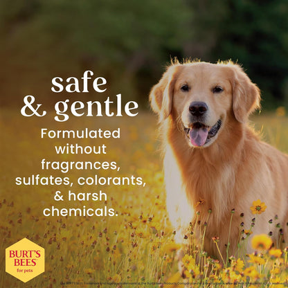 Honey Multipurpose Dog Grooming Wipes, Gentle Hypoallergenic Spot Cleaning Sheets, Ph Balanced Natural Origin Formula for Paws, Face and Butt, 50 Count