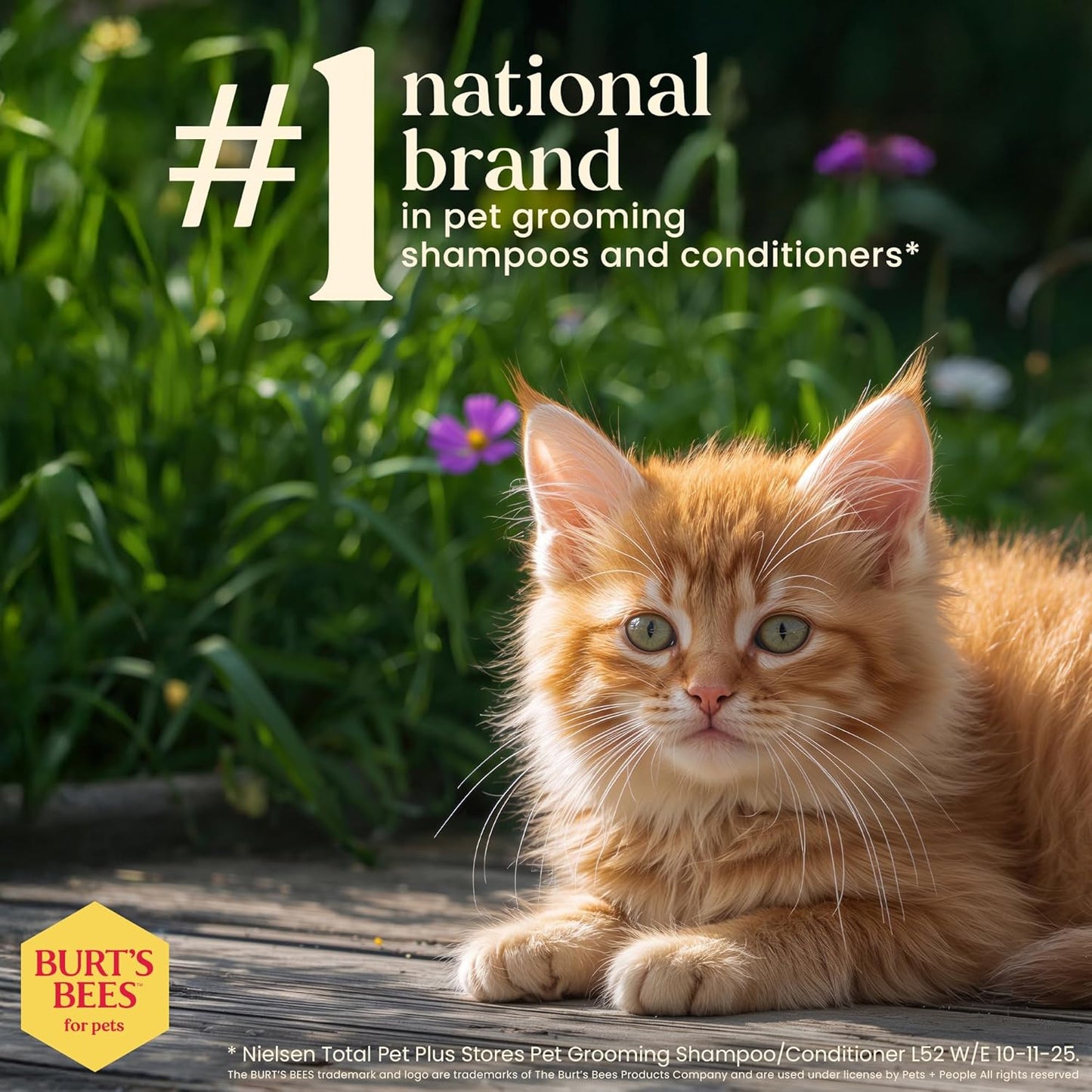 Tearless Kitten Shampoo with Buttermilk, 99.3% Natural Origin Formulas, Pet Shampoo for Cats, Gentle Cat Shampoo, Cat Shampoo for Itchy Skin, 10 Oz