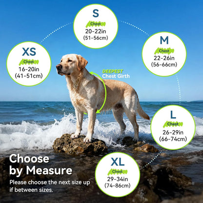 Neoprene Dog Life Vest, Dog Life Jacket for Swimming & Boating, Lightweight & Buoyancy for Puppy Doggy, Swimming Vest with Handle, M, Red